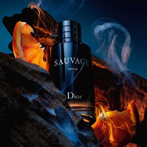 dior sauvage é bom|fragrances like dior sauvage.